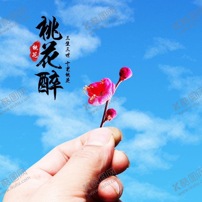 编号：71741609240238557738【酷图网】源文件下载-桃花