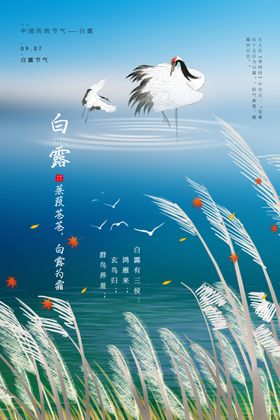 白露