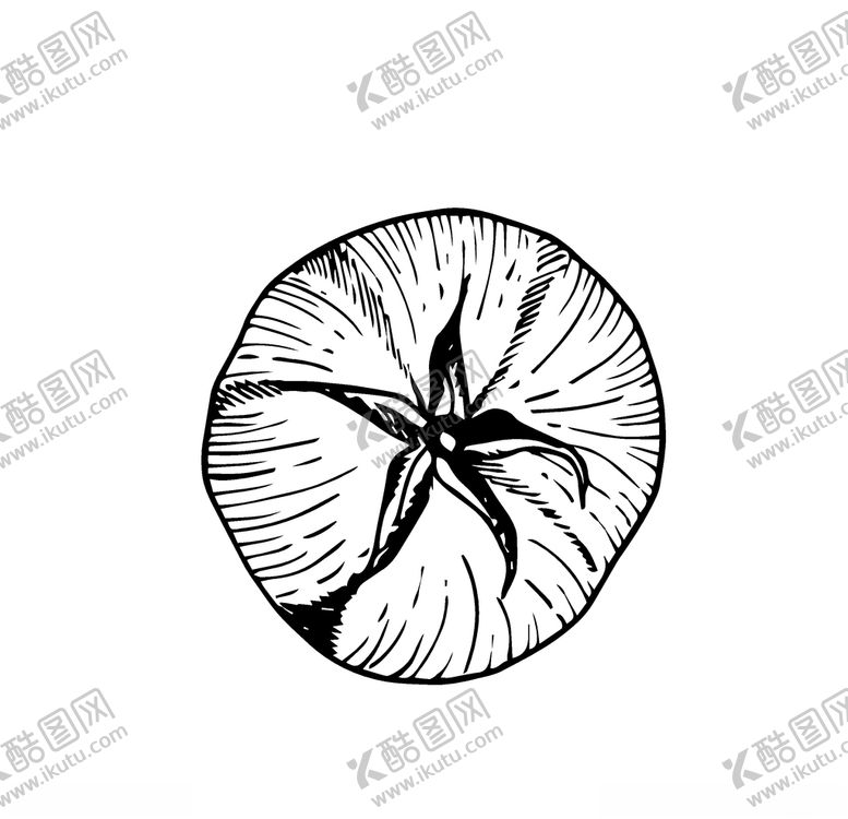 编号：59502210110955155854【酷图网】源文件下载-蔬菜