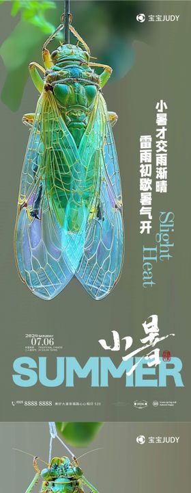 小暑节气海报夏天系列蝉二十四