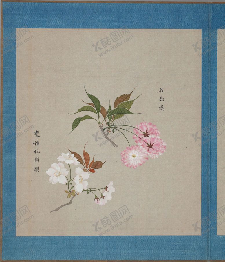 编号：82627804150932188742【酷图网】源文件下载-樱花