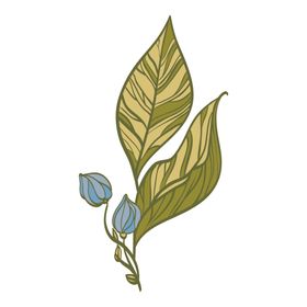 清新绿植