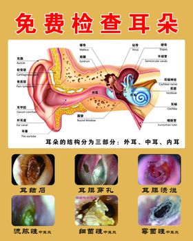 免费检查耳朵