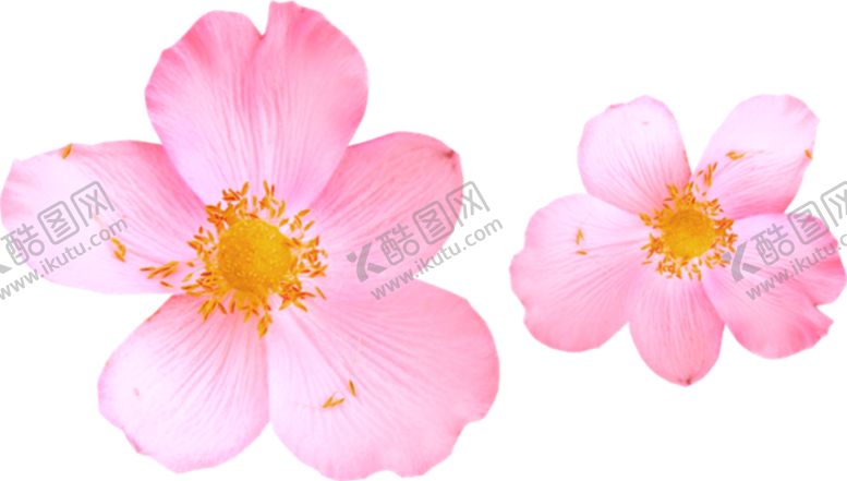 编号：73780109241126234864【酷图网】源文件下载-手绘桃花