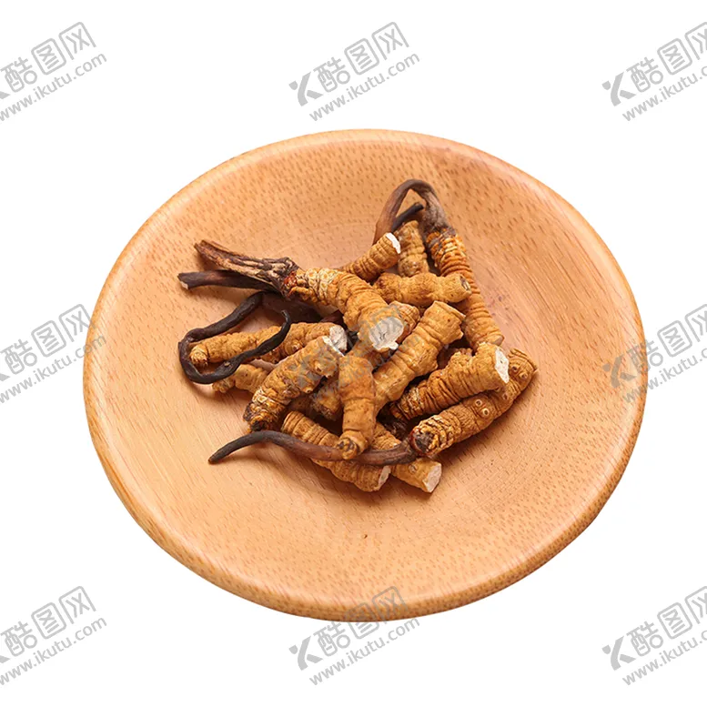 编号：98623710040219540765【酷图网】源文件下载-冬虫夏草
