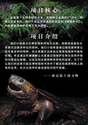 编号：01824709250939032570【酷图网】源文件下载-生物多样性日