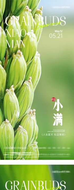 地产立夏小满美学系海报