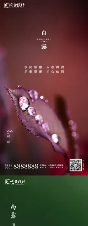 地产白露节气海报