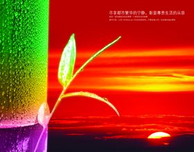 竹子日出绚丽风景宣传海报