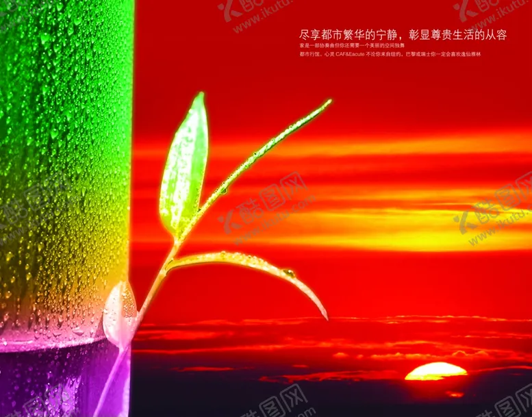 编号：63304706181306359748【酷图网】源文件下载-竹子日出绚丽风景宣传海报