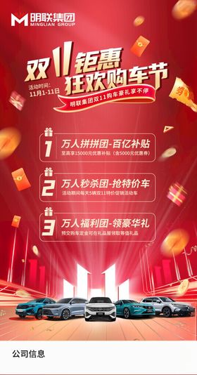 双11购车节
