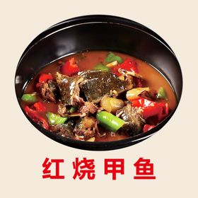 红烧甲鱼