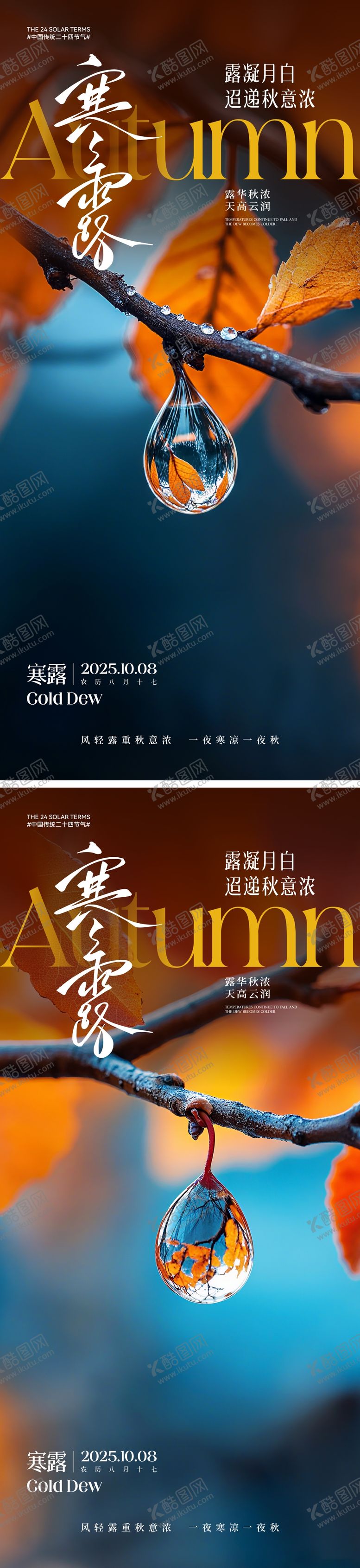 编号：89167809292045497114【酷图网】源文件下载-寒露节气海报