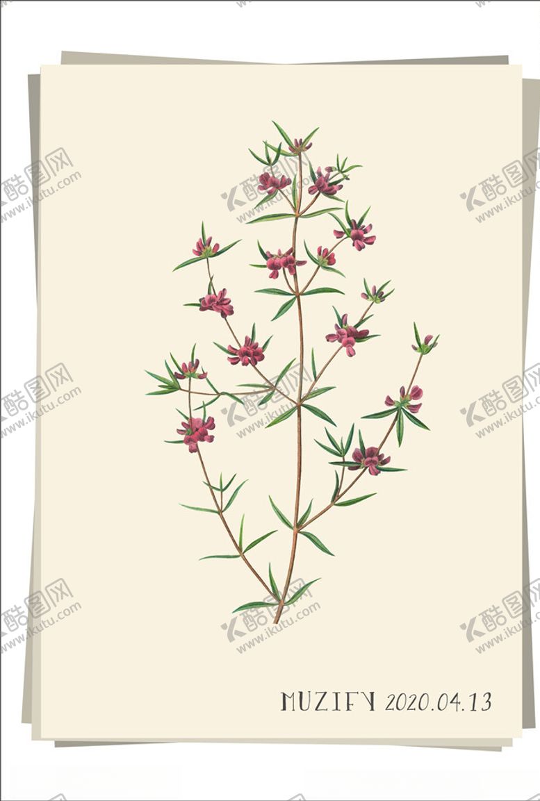 编号：60266409232142335682【酷图网】源文件下载-石楠花植物图鉴