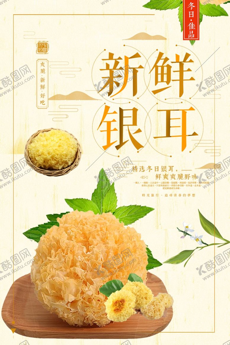 编号：90199601140541023261【酷图网】源文件下载-新鲜银耳