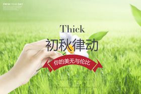 小清新