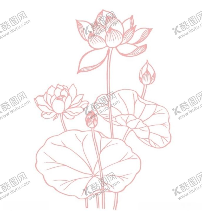 编号：81396407051731437754【酷图网】源文件下载-荷花
