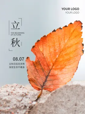 立秋挂画分梧桐落叶