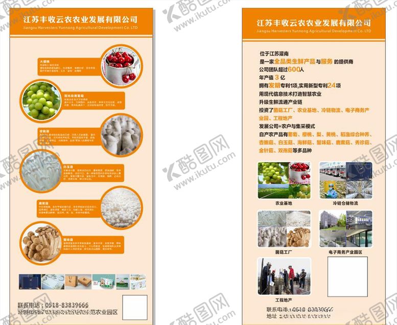 编号：52720105041319353288【酷图网】源文件下载-丰收云农创业园简介展架海报菌菇