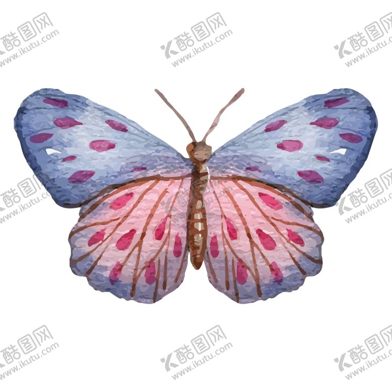 编号：37261210112051182033【酷图网】源文件下载-蝴蝶素材