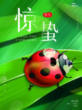 惊蛰地产节气海报宣传单页