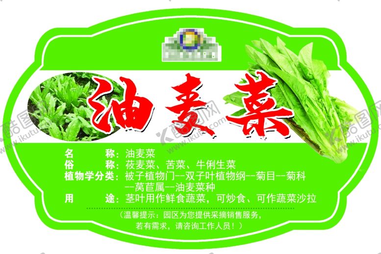 编号：74270907130311031410【酷图网】源文件下载-油麦菜