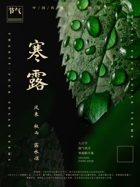 大气寒露节气海报