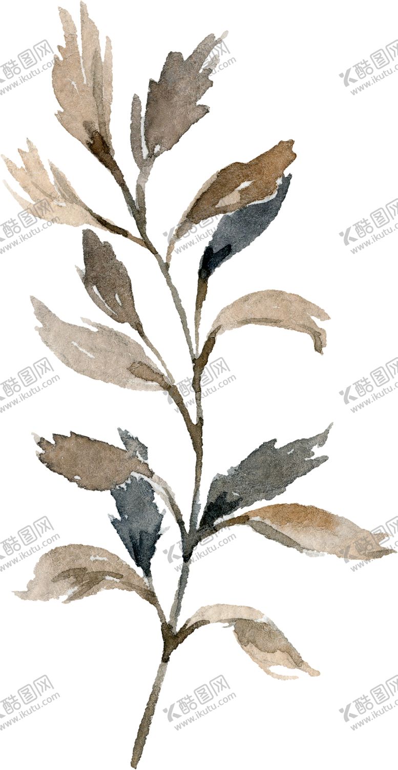 编号：41808309180352368219【酷图网】源文件下载-水彩绘画花朵树枝装饰