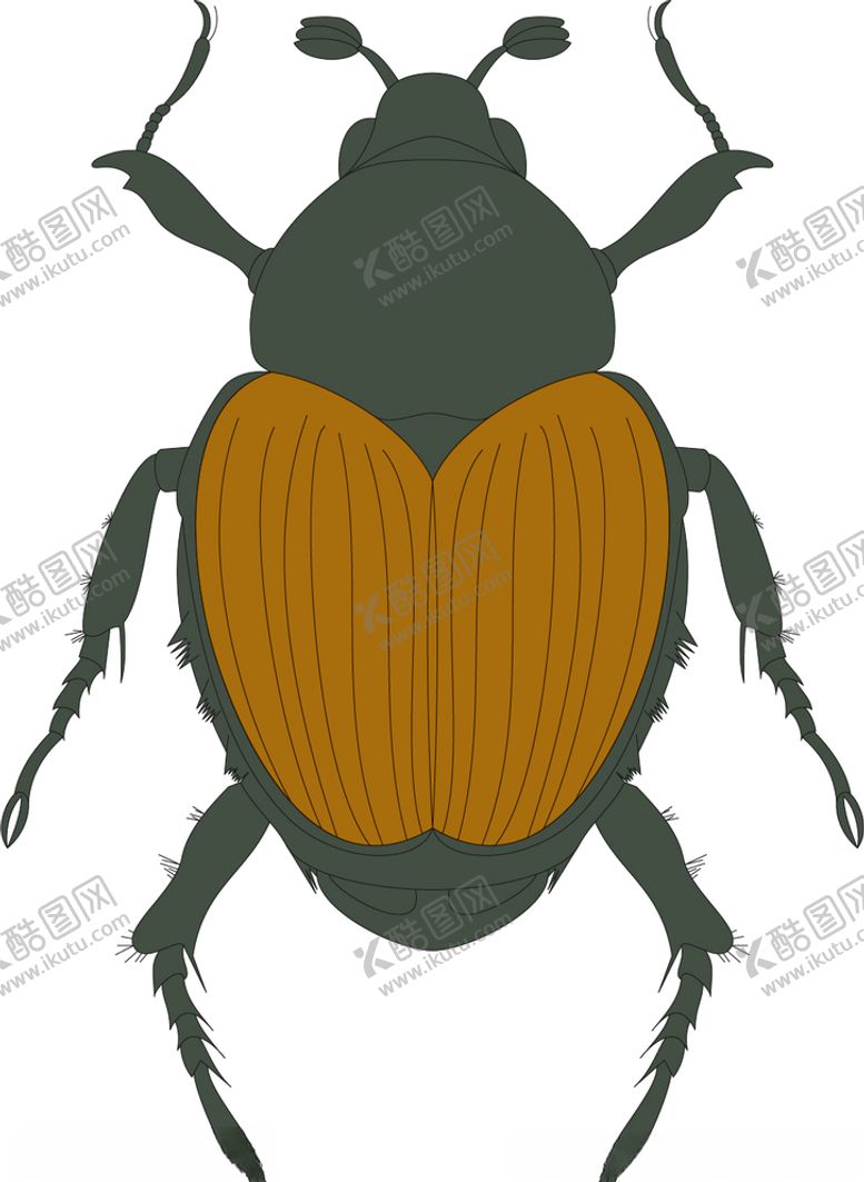 编号：90691610091318499678【酷图网】源文件下载-屎壳郎矢量插图