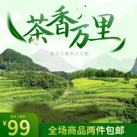 茶叶海报新茶上市创意海报