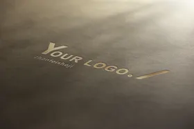 logo样机
