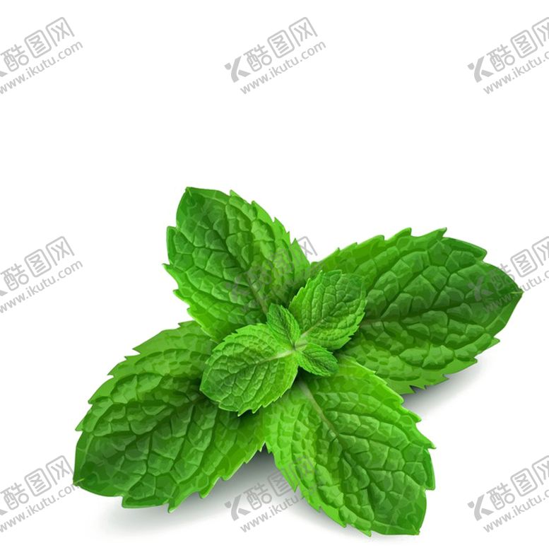 编号：80520007141804557172【酷图网】源文件下载-薄荷