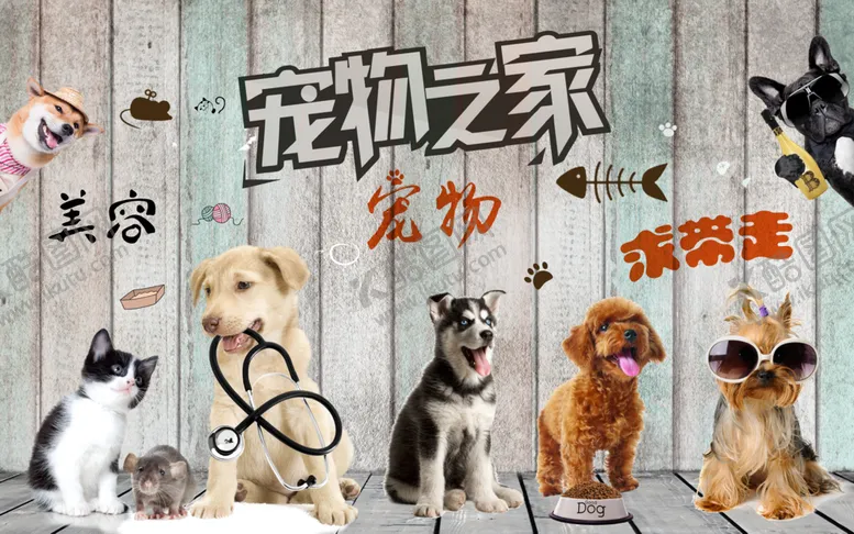 编号：81439406281609316642【酷图网】源文件下载-工装背景墙