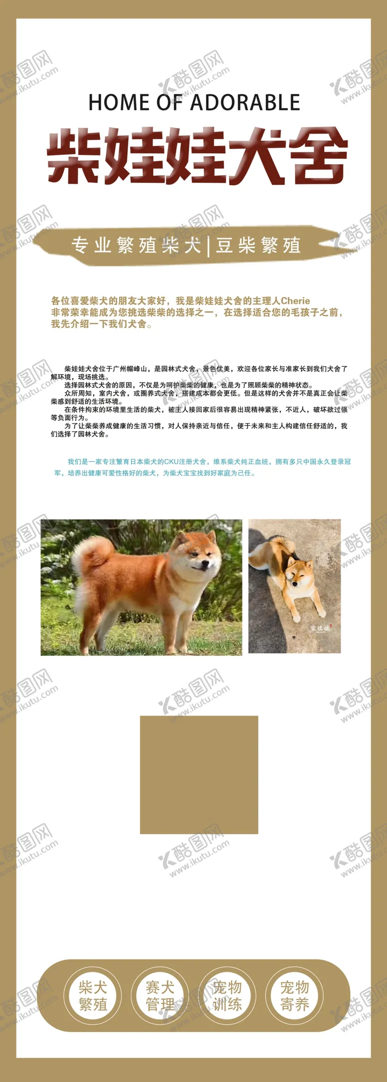 编号：12945102050758277240【酷图网】源文件下载-宠物展架