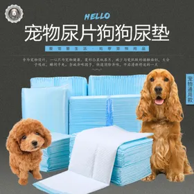 宠物用品