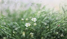 雨天图片素材