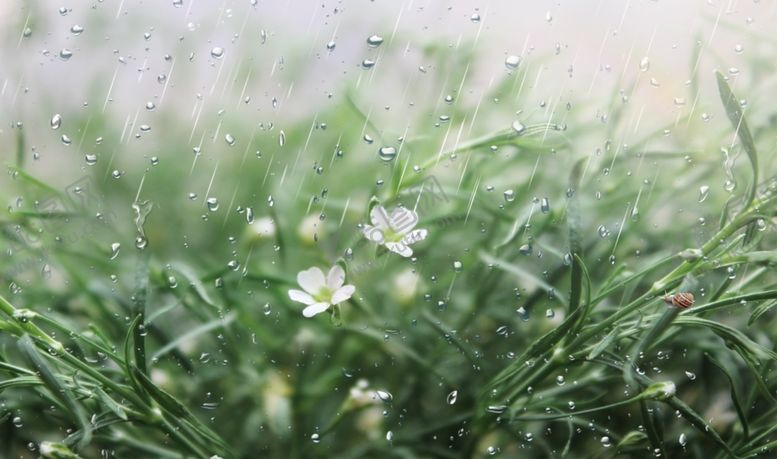 编号：18748507010552279712【酷图网】源文件下载-雨天图片素材