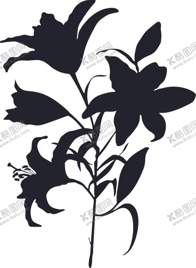 编号：18518310281338462702【酷图网】源文件下载-百合