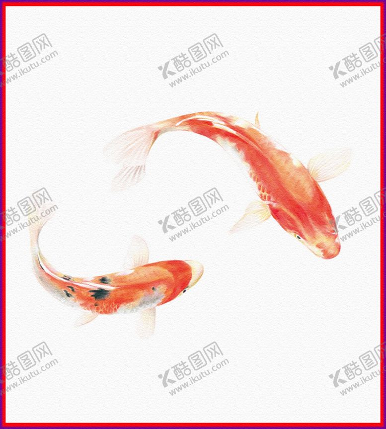 编号：98265110020750327146【酷图网】源文件下载-金鱼