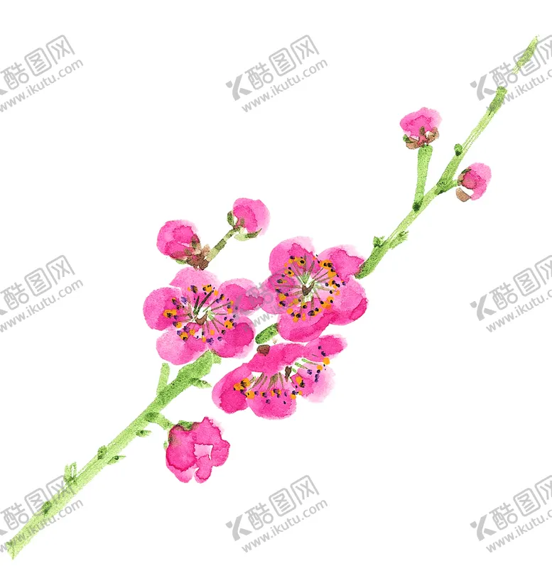 编号：15673009241340034125【酷图网】源文件下载-梅花 