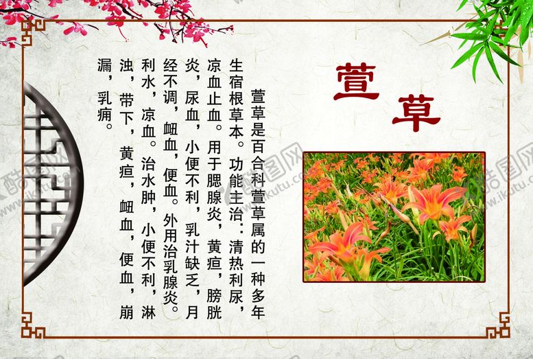 编号：51834909270535530817【酷图网】源文件下载-萱草