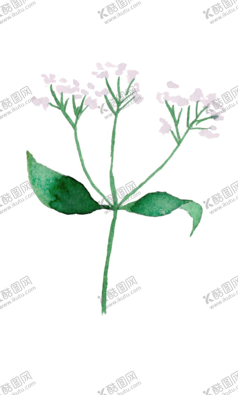 编号：76557802030234367206【酷图网】源文件下载-水彩花朵免扣