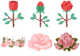 玫瑰花鲜图案爱情