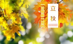 立秋24节气海报初素材