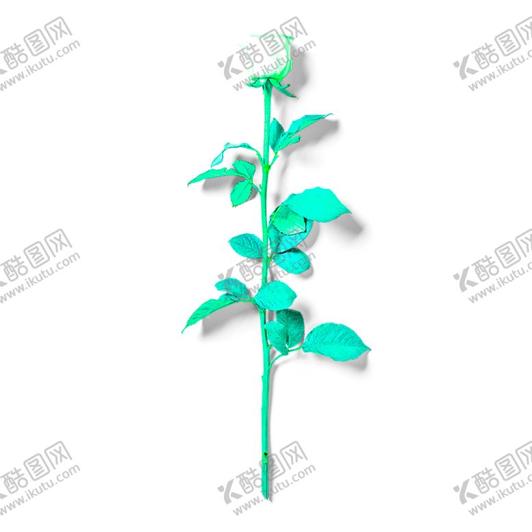 编号：56827010021245148236【酷图网】源文件下载-花素材