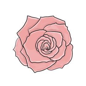 玫瑰花