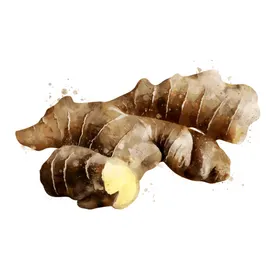 手绘彩色蔬菜免扣素材图片