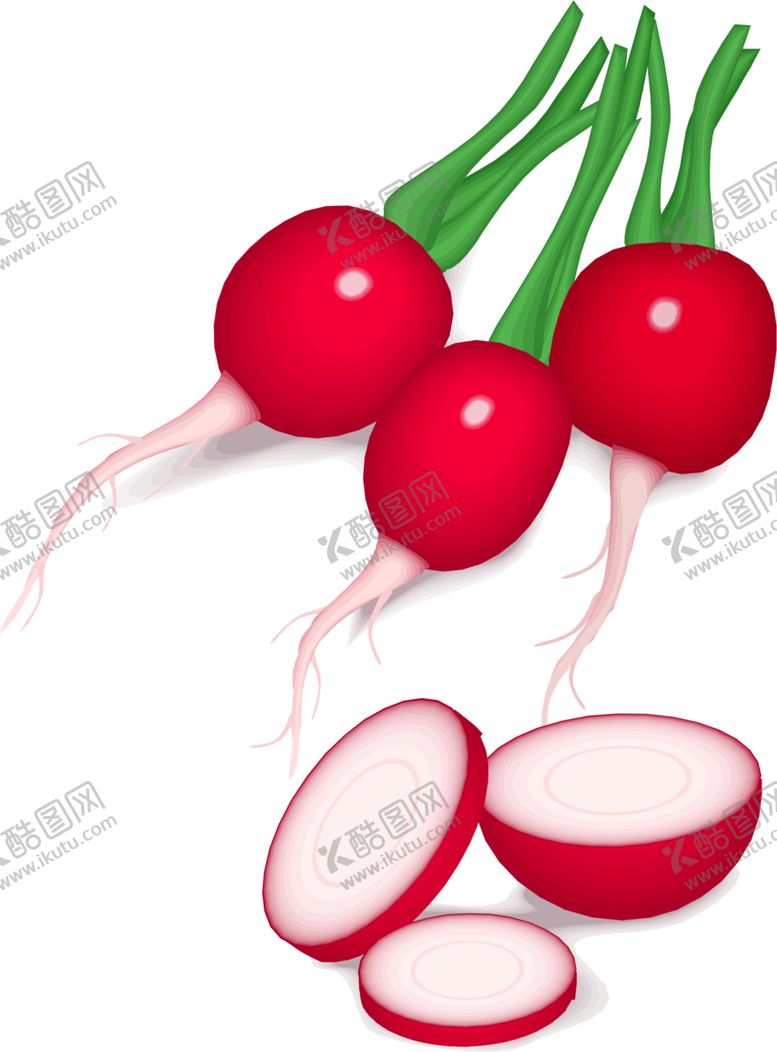 编号：86229009181622585168【酷图网】源文件下载-萝卜