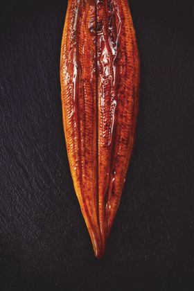 蒲烧烤鳗饭