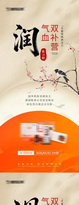 气血养生宣传海报